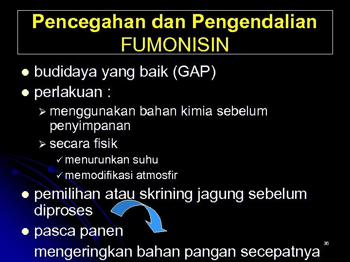 Pencegahan dan Pengendalian FUMONISIN budidaya yang baik (GAP) l perlakuan : l Ø menggunakan