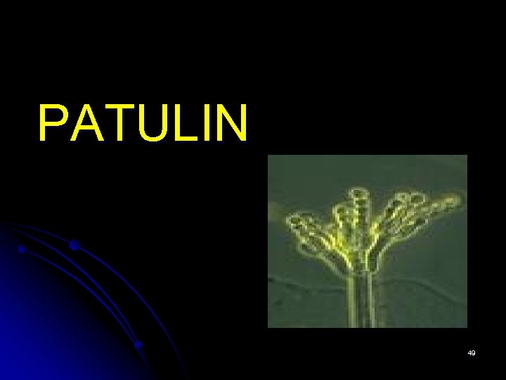 PATULIN 49 