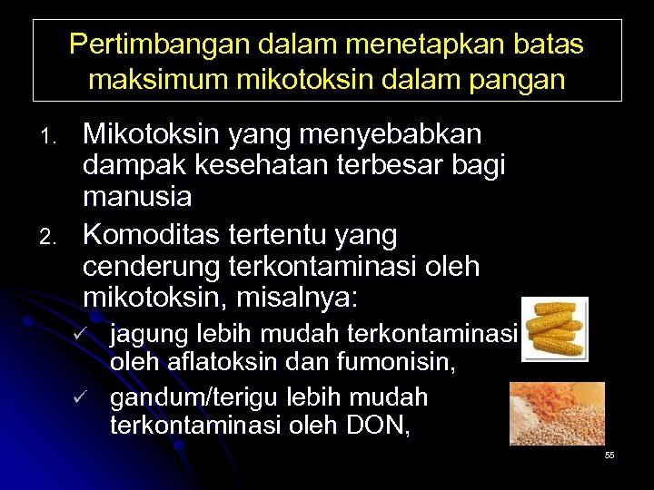 Pertimbangan dalam menetapkan batas maksimum mikotoksin dalam pangan 1. 2. Mikotoksin yang menyebabkan dampak