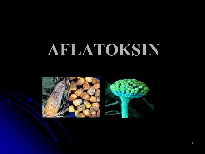 AFLATOKSIN 6 