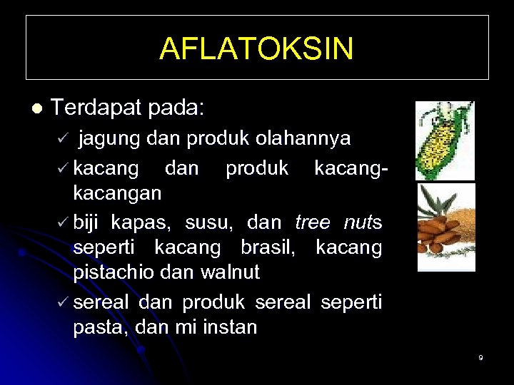 AFLATOKSIN l Terdapat pada: ü jagung dan produk olahannya ü kacang dan produk kacang-