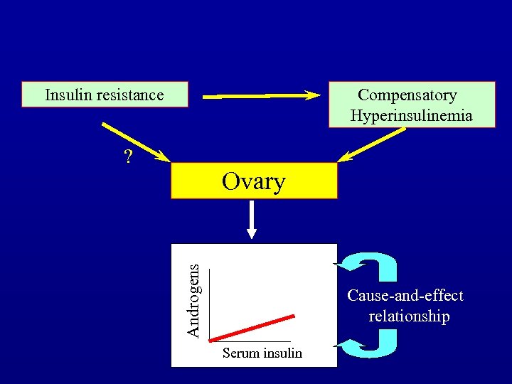 Insulin resistance Compensatory Hyperinsulinemia ? Androgens Ovary Cause-and-effect relationship Serum insulin 