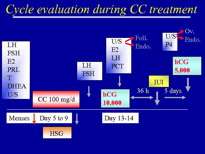 Cycle evaluation during CC treatment LH FSH E 2 PRL T DHEA U/S Menses