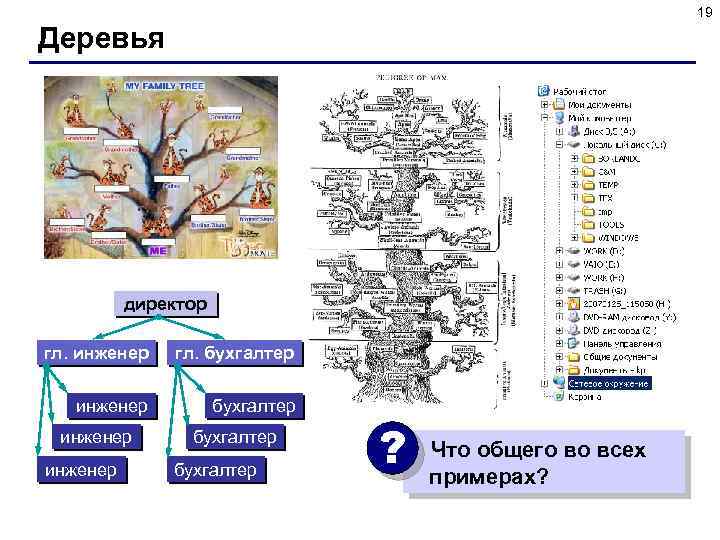 19 Деревья директор гл. инженер гл. бухгалтер инженер бухгалтер ? Что общего во всех