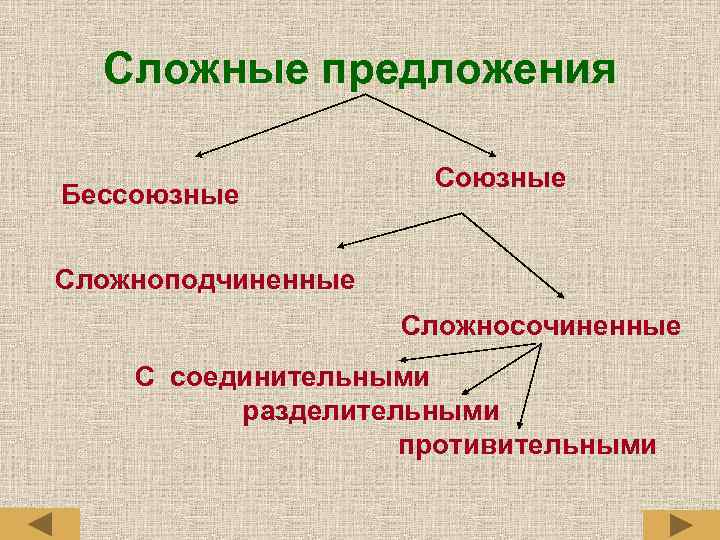 Сложные предложения Бессоюзные Сложноподчиненные Сложносочиненные С соединительными разделительными противительными 