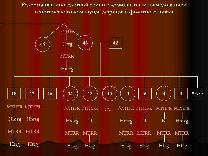 Родословная многодетной семьи с доминантным наследованием генетического компаунда дефицита фолатного цикла MTHFR Htzg 46