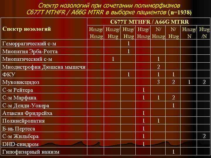Спектр нозологий при сочетании полиморфизмов С 677 Т MTHFR / А 66 G MTRR