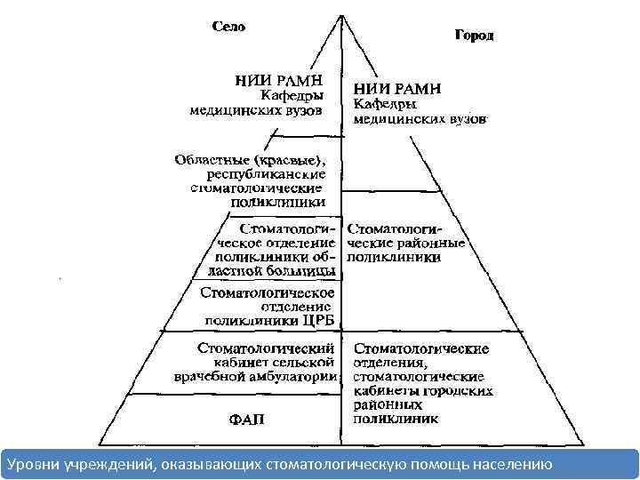 Уровни учреждений, оказывающих стоматологическую помощь населению 