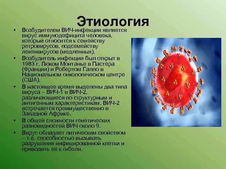Заболевания вызываемые вирусами вич инфекция. Этиология морфология возбудителя ВИЧ. Возбудитель заболевания СПИД вирус. Структура вируса иммунодефицита человека ВИЧ 1 ВИЧ 2. Вирус ВИЧ микробиология.