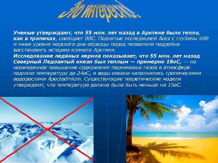 Ученые утверждают, что 55 млн. лет назад в Арктике было тепло, как в тропиках,