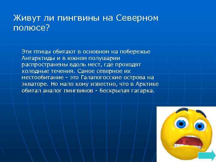 Живут ли пингвины на Северном полюсе? Эти птицы обитают в основном на побережье Антарктиды