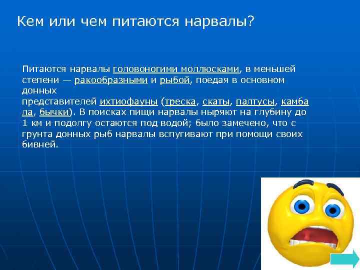 Кем или чем питаются нарвалы? Питаются нарвалы головоногими моллюсками, в меньшей степени — ракообразными