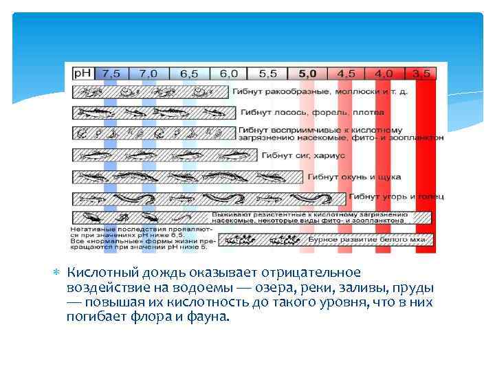  Кислотный дождь оказывает отрицательное воздействие на водоемы — озера, реки, заливы, пруды —