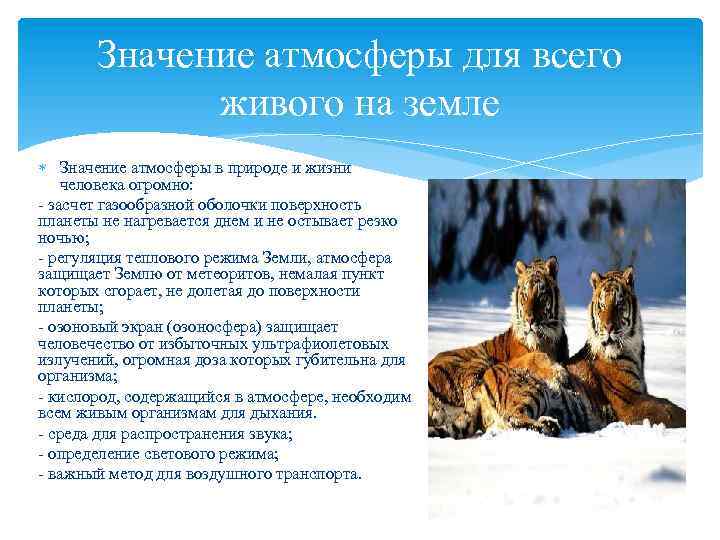 Значение атмосферы для всего живого на земле Значение атмосферы в природе и жизни человека