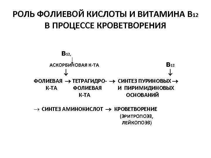 РОЛЬ ФОЛИЕВОЙ КИСЛОТЫ И ВИТАМИНА В 12 В ПРОЦЕССЕ КРОВЕТВОРЕНИЯ в 12, в 12