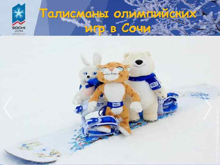 Талисманы олимпийских игр в Сочи 