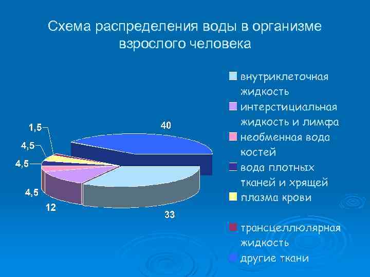 Схема распределения воды в организме взрослого человека 