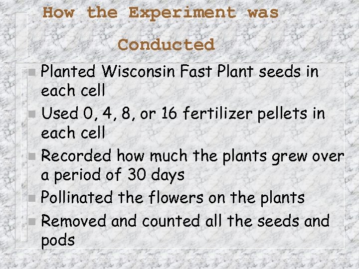 How the Experiment was Conducted Planted Wisconsin Fast Plant seeds in each cell n