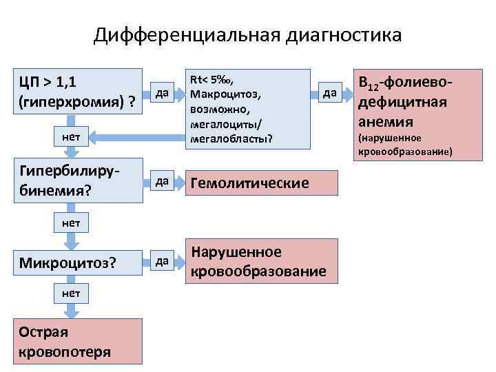 Дифференциальная диагностика ЦП > 1, 1 (гиперхромия) ? да нет Гипербилирубинемия? Rt< 5‰, Макроцитоз,