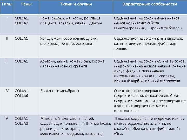 Типы Гены Ткани и органы Характерные особенности I COL 1 A 1, COL 1