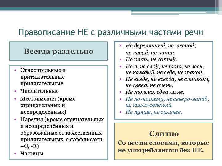 Правописание НЕ с различными частями речи Всегда раздельно • Относительные и притяжательные прилагательные •