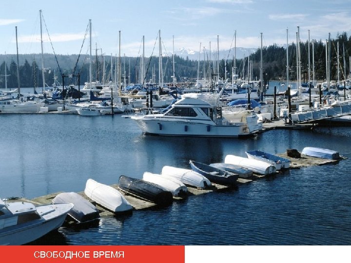 СВОБОДНОЕ ВРЕМЯ 