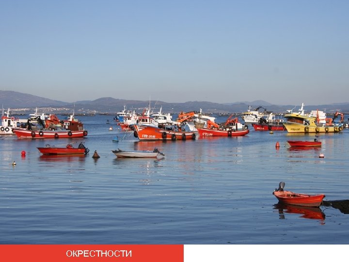 ОКРЕСТНОСТИ 