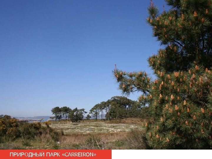 ПРИРОДНЫЙ ПАРК «CARREIRON» 