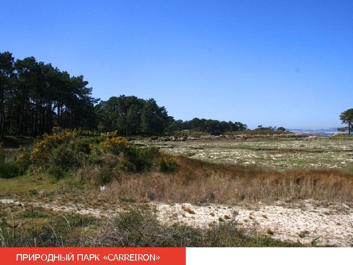 ПРИРОДНЫЙ ПАРК «CARREIRON» 