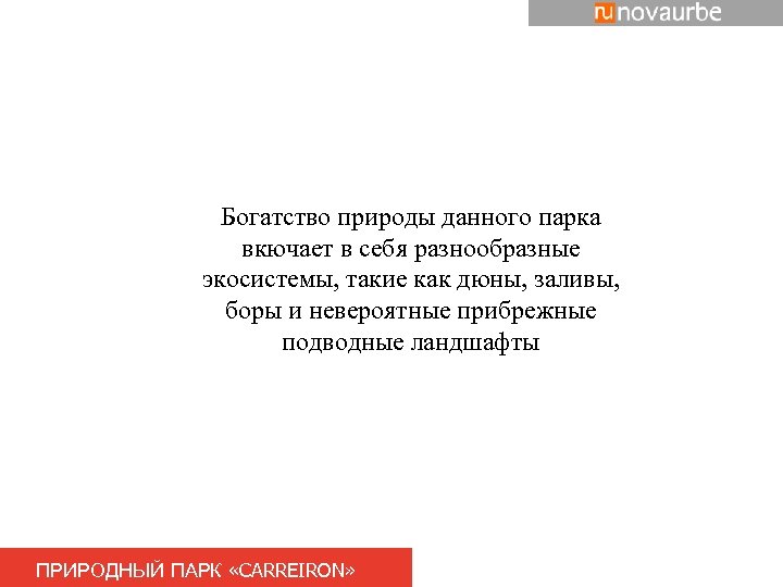 Богатство природы данного парка вкючает в себя разнообразные экосистемы, такие как дюны, заливы, боры