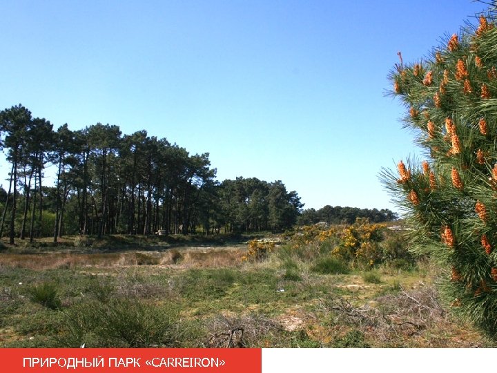 ПРИРОДНЫЙ ПАРК «CARREIRON» 