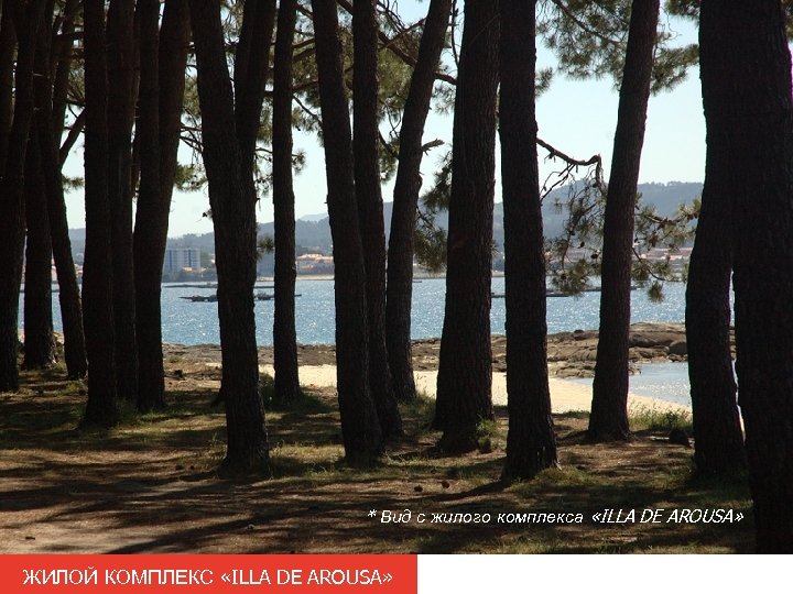 * Вид с жилого комплекса «ILLA DE AROUSA» ЖИЛОЙ КОМПЛЕКС «ILLA DE AROUSA» 
