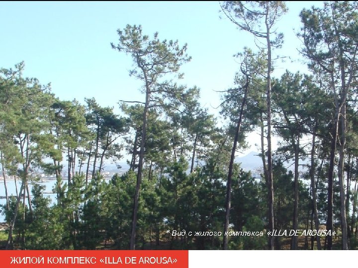 * Вид с жилого комплекса «ILLA DE AROUSA» ЖИЛОЙ КОМПЛЕКС «ILLA DE AROUSA» 