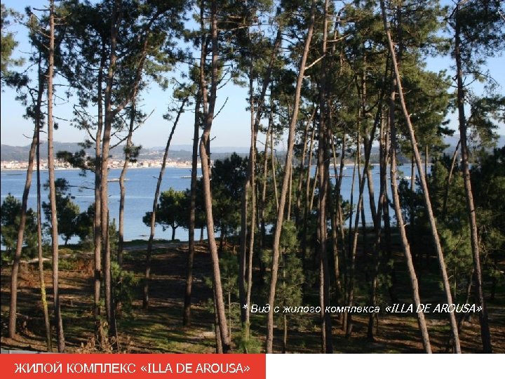 * Вид с жилого комплекса «ILLA DE AROUSA» ЖИЛОЙ КОМПЛЕКС «ILLA DE AROUSA» 