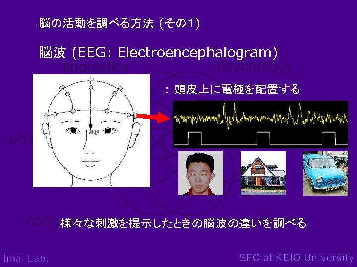 脳の活動を調べる方法 (その１) 脳波 (EEG: Electroencephalogram) : 頭皮上に電極を配置する 様々な刺激を提示したときの脳波の違いを調べる 