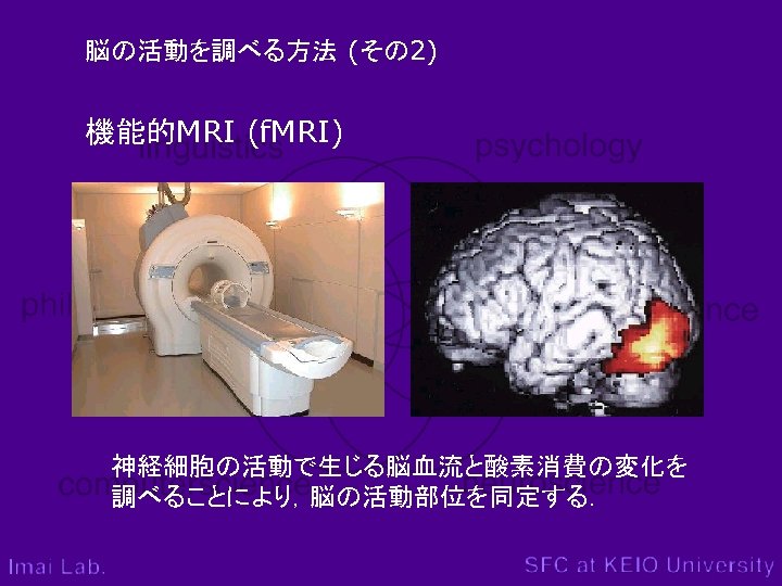 脳の活動を調べる方法 (その 2) 機能的MRI (f. MRI) 神経細胞の活動で生じる脳血流と酸素消費の変化を 調べることにより，脳の活動部位を同定する． 