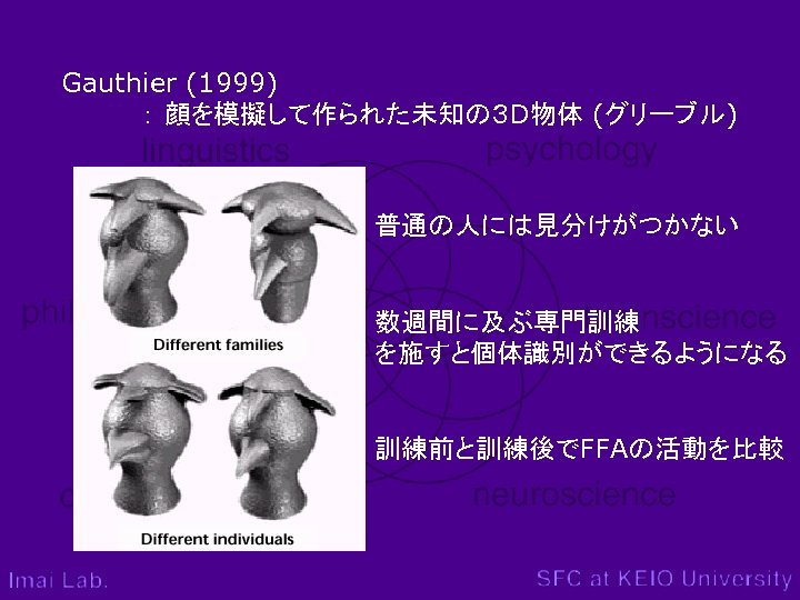 Gauthier (1999) ： 顔を模擬して作られた未知の３ D物体 (グリーブル) 普通の人には見分けがつかない 数週間に及ぶ専門訓練 を施すと個体識別ができるようになる 訓練前と訓練後でFFAの活動を比較 