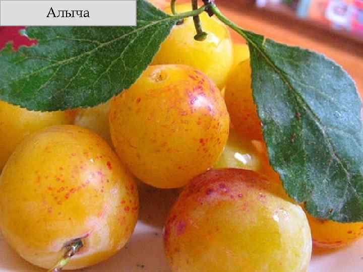 Алыча 