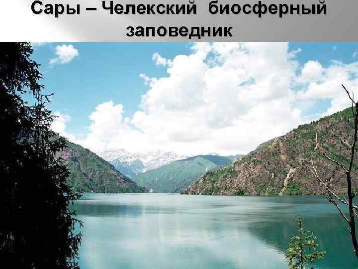 Сары – Челекский биосферный заповедник 