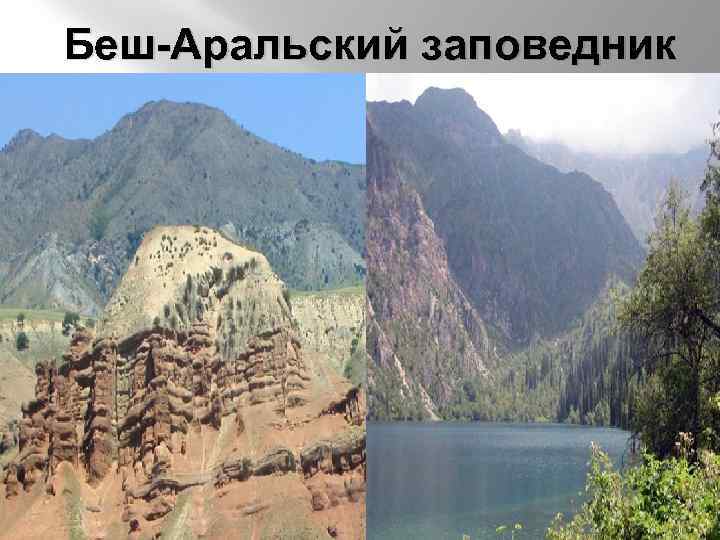 Беш-Аральский заповедник 