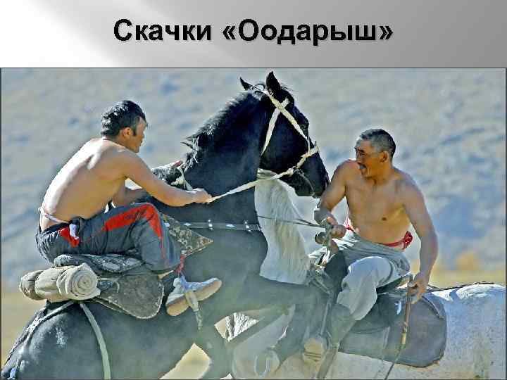 Скачки «Оодарыш» 