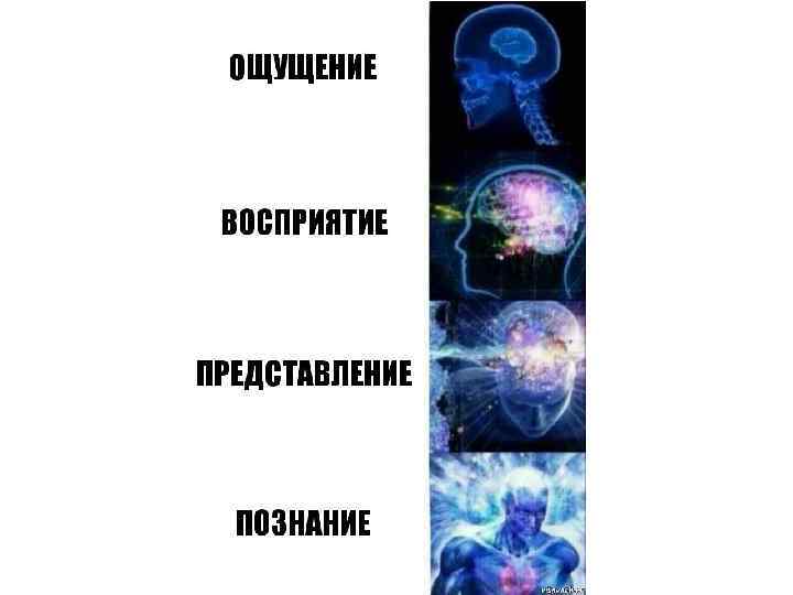 Представление познание. Ощущение восприятие представление. Представление восприятие ощущение это способность.