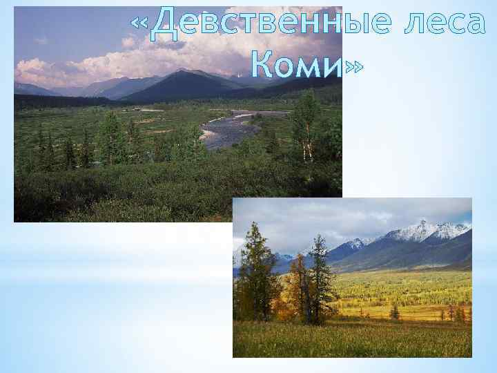  «Девственные леса Коми» 