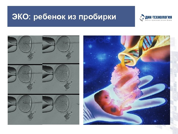 ЭКО: ребенок из пробирки 