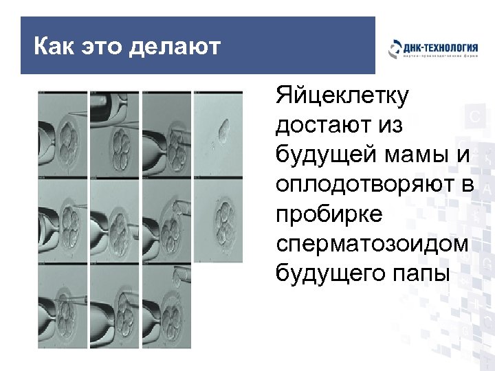 Как это делают Яйцеклетку достают из будущей мамы и оплодотворяют в пробирке сперматозоидом будущего
