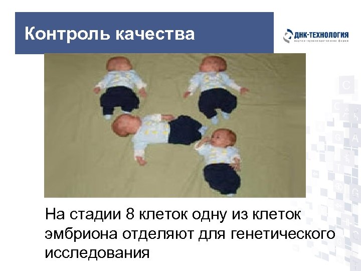 Контроль качества На стадии 8 клеток одну из клеток эмбриона отделяют для генетического исследования