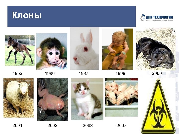 Клоны 1952 2001 1996 2002 1997 2003 1998 2007 2000 