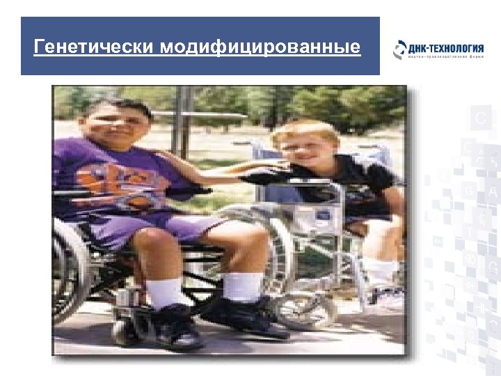 Генетически модифицированные 