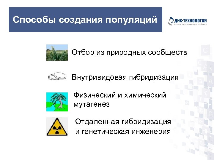 Способы создания популяций Отбор из природных сообществ Внутривидовая гибридизация Физический и химический мутагенез Отдаленная