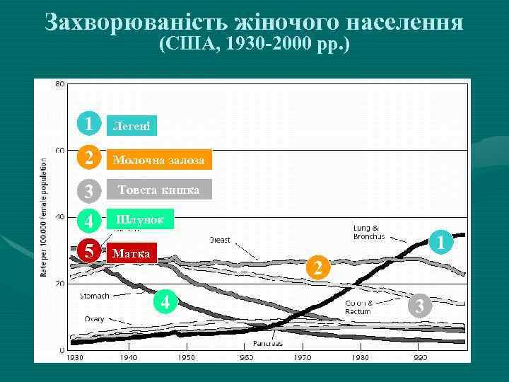 Захворюваність жіночого населення (США, 1930 -2000 рр. ) 1 Легені 2 Молочна залоза 3